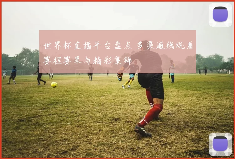 世界杯直播平台盘点 多渠道线观看赛程赛果与精彩集锦