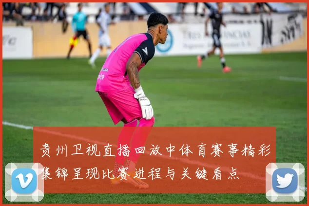 贵州卫视直播回放中体育赛事精彩集锦呈现比赛进程与关键看点