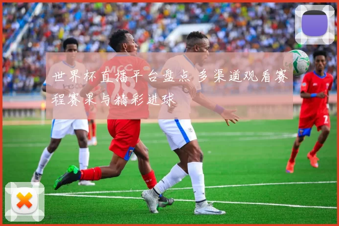 世界杯直播平台盘点 多渠道观看赛程赛果与精彩进球