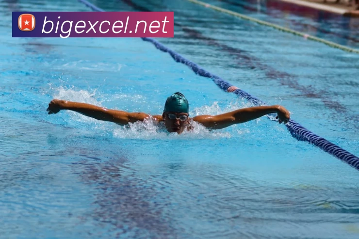 beat·365(中国)唯一官方网站发展历程